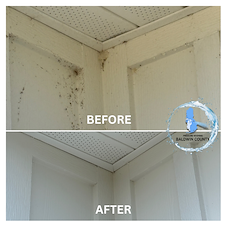 Top-Rated-House-Washing-and-Concrete-Cleaning-Services-in-Fairhope-AL 2